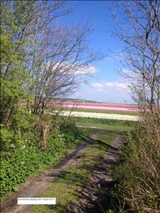 Stacaravan (6 pers) aan zee camping De Watersnip in Petten (NH) incl. gebruik fietsen