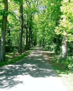 Camping de Ikeleane, Bakkeveen 4 pers.