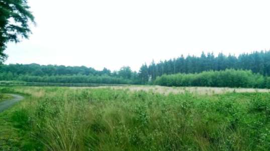 Camping de Ikeleane, Bakkeveen 4 pers.