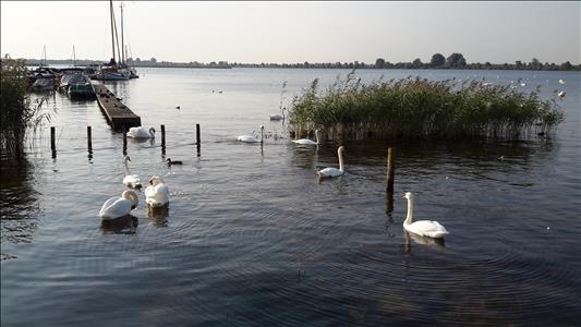 OP EEN UNIEKE PLEK TE HUUR DIRECT AAN DE BELTERWIEDE NA BIJ GIETHOORN STACARAVAN TE HUUR.