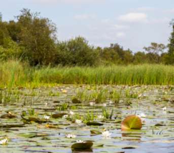 Camping de Sloothaak, Giethoorn 5 pers.