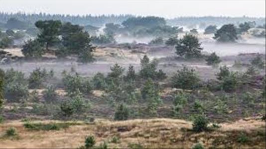 Te huur in het mooie Drenthe 6 pers stacaravan, kindvriendelijk! met airco en wifi.