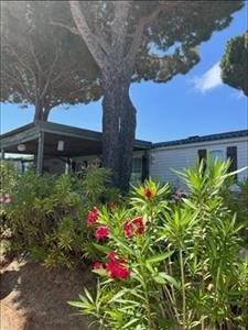 Met uitzicht op zee, "DE PARASOL"  en/of  "DE HORIZON", luxe mobile homes aan het strand van Pampelonne, Saint-Tropez / Ramatuelle.