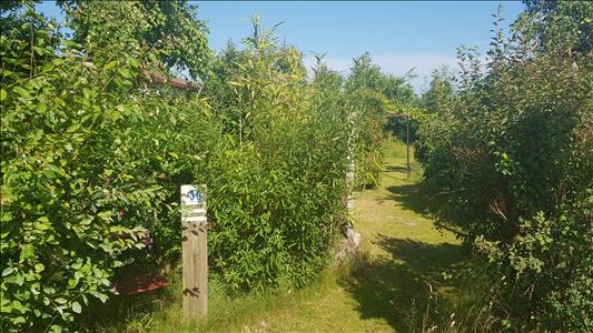 Vanaf € 320,-. Texel - Luxe Chalet (2 volwassenen, 2 kinderen) op schitterende locatie vlak bij bos en strand - "Ta Lème"